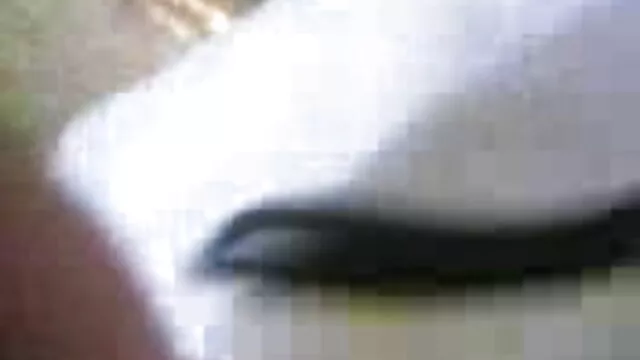 સુંદરતા છે સેકસી વીડીયો ફુલ બીપી શિંગડા