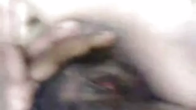 Pussy પરાજય કૂતરી સુંદર ઓપન સેકસી બીપી વીડીયો