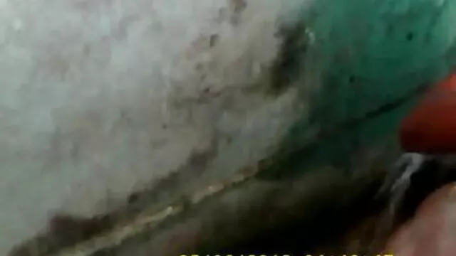 વાર્તા ત્રીપલ એક્સ બીપી વીડીયો સેકસી