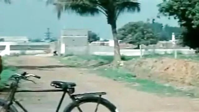 કેટરિના જેડ sucks મધ માં ગુજરાતી સેકસી બીપી વીડીયો વૃક્ષો પહેલાં વાહિયાત