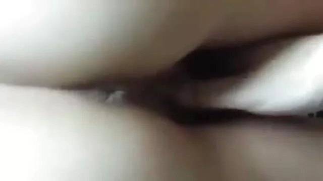 તારા એચડી બીપી વીડીયો સેકસી શૃંગારિક પાર્ટી