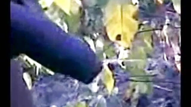 વિડિઓ સેકસી પીચર વીડીયો બીપી મહિલા નરમ