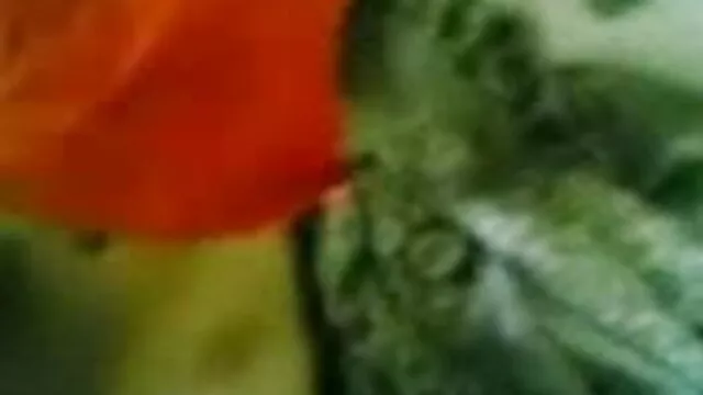 સેક્સ બાથરૂમમાં સેકસી બીપી વીડીયો એચડી