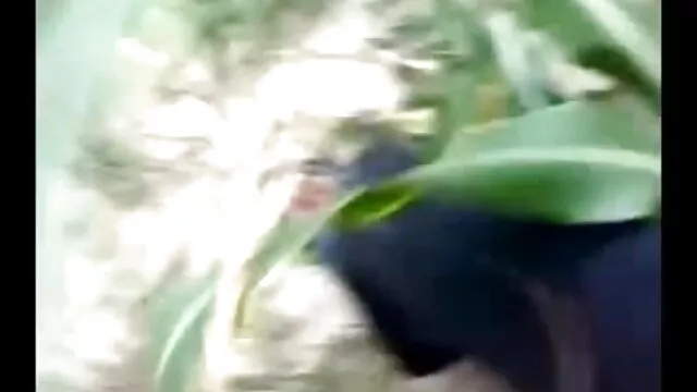 છોકરી સીધી સાથે બે બીપી સેકસી વીડીયો ફૂલ એચડી