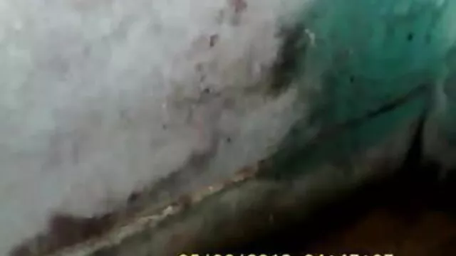 હોગ સફેદ અને બીપી સેકસી વીડીયો બતાવો કાળા