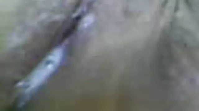 તેલ લગાવેલુ સની લિયોન સેકસી બીપી વીડીયો ગાંડ
